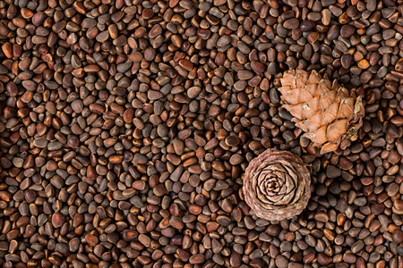 Brown fresh natural whole pine nuts, ceeds of siberian pine and two pine cones on them laying and standing. Horizontal orientation. Copy space. Top view.の写真素材