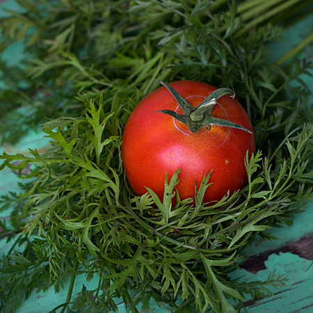 Red tomato on fresh greenery on the old rustic wooden surface close up look, squareの写真素材