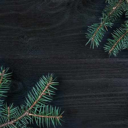 fur tree frame in angles on woodden textured rustic square background. Space for text.の写真素材