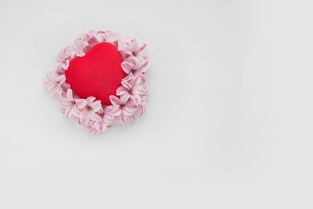 Bright red heart surrounded Pink hyacinth flowers on empty white background top view with copy space. horizontalの写真素材