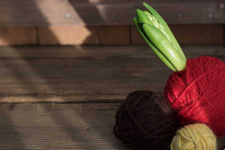 small hyacinth in red yarn ball with two more yarn baslls on old wooden backgroundの写真素材