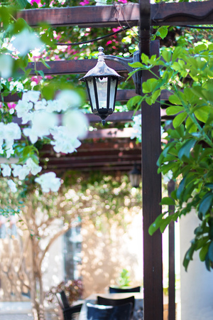 Stylish street lamp in retro style in outdoor cafe on the background of blooming bushes and green leaves, Spring atmosphere mood, Verticalの写真素材
