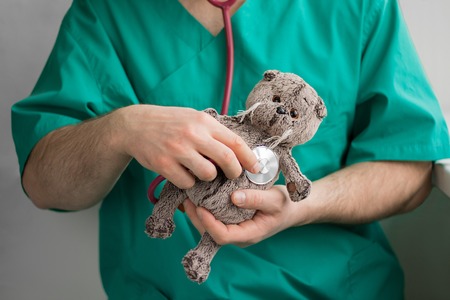 handsome male doctor with beard in green costume holds in hands and examins with stethoscope grey toy cat on the empty white background. Horizontal banner, healthcare, medicine.の写真素材