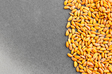 Different culticar of water cress seeds on dark background. Can be used for creating new exquisite...
