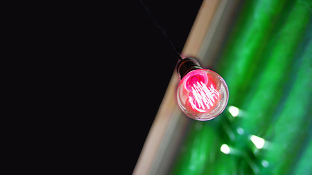 Glowing bright pink bulb with bright white incide on diagonal line between black and green. Ecology...