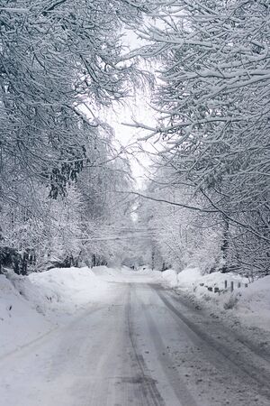 Winter road and snow with frost, both sides hidden with white branches of trees, Vertical. Climate, and cold season.の写真素材