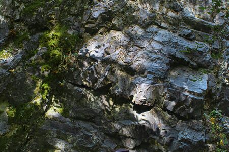 Natural stone cliff textured surface with green grass. Horizontal. Creative background.の写真素材