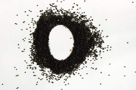 Handful of sweet basil black seeds, letter O uppercase of English alphabet on white background. Black and white. Lettering. Typography. Horizontal. Healthy and super food.の写真素材