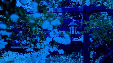 Stylish street lamp in retro style in outdoor cafe on the background of blooming bushes and green leaves, Spring atmosphere, spring mood, Horizontal banner. Classic, blue monochrome, trend 2020の写真素材