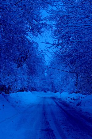 Winter road and snow with frost, both sides hidden with white branches of trees, Climate, and cold season. Vertical. Classic, blue monochrome, trend 2020の写真素材