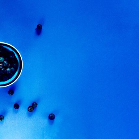 fresh organic blueberries in bowl, some berries around on empty background for copy space and design, Top View, Square. Classic, blue monochrome, trend 2020の写真素材