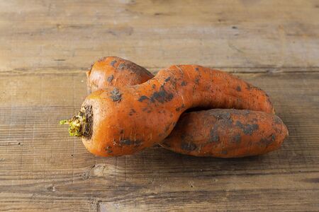 Two curved ugly carrots with pieces of soil on brown old wooden background. Vegetables with unusual strange shape. Food that grocery store and supermarket usually throw away. Horizontal.の写真素材