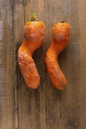 Two ugly curved carrots with pieces of soil on brown old wooden background with copy soace. Vegetables with unusual strange shape. Vertical. Food that grocery store and supermarket usually throw away.の写真素材