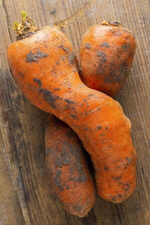 Two curved ugly carrots with pieces of soil on brown old wooden background. Vegetables with unusual strange shape. Food that grocery store and supermarket usually throw away. Vertical. Close up.の写真素材