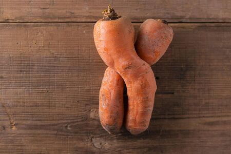 Two curved ugly carrots brown old wooden background with copy space. Vegetables with unusual strange shape. Horizontal. Food that grocery store, supermarket usually throw away.の写真素材
