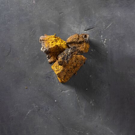 Wild Chaga Mushroom lives on birch bark heart shape on dark texturedの写真素材