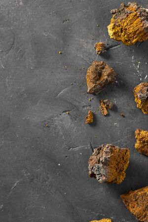 Wild Chaga Mushroom lives on birch bark, inonotus obliquus, on dark texturedの写真素材