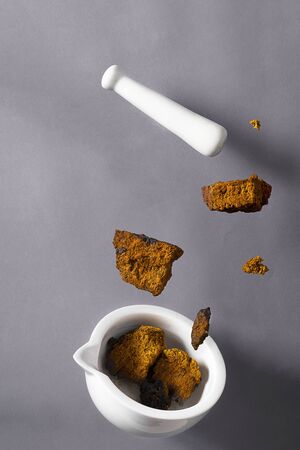 Dry Wild Chaga Mushroom pieces, white pestle and meortar falling on the greyの写真素材