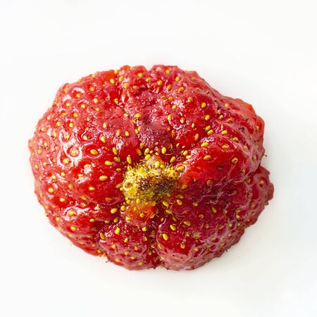 One oval ugly ripe organic strawberry with yellow tip on white background top view. Close up, Isolated, Square image about gardening, berry harvest and fruit with unusual shape. Macro.の写真素材