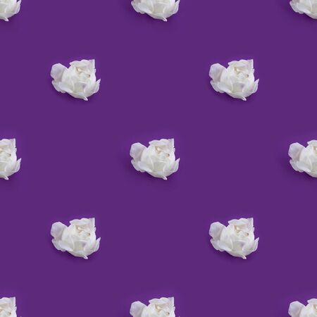 Seamless pattern with white rose buds just ready to burst on violet background. Photographic collage. Creative flower background for wallpaper or postcard. Pop art trendy picture.の写真素材