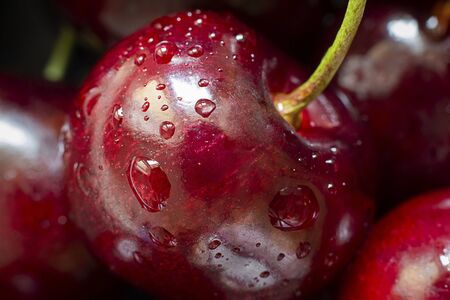 Closeup of ripe bright Cherry with water drops on the background of many berries. Fresh sweet ingredient for desserts, tarts and pies. Full of vitamins. Organic agriculture, Horizontal macro shot.の写真素材