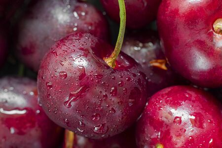Closeup of ripe bright Cherry with water drops on the background of berries. Fresh sweet ingredient for desserts, tarts and pies. Full of vitamins. Organic agriculture, Horizontal macro shot.の写真素材