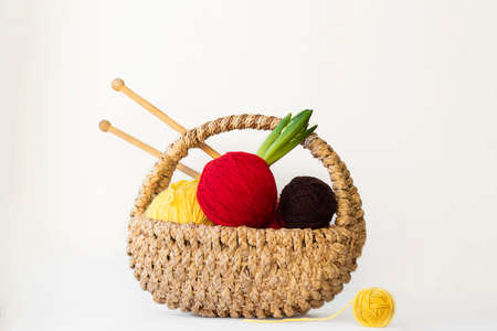Bright red, yellow, brown balls of yarn, one with green leaves of hyacinth in small basket with kniting sticks on empty white background. Vintage hobby spring and eco concept. Horizontal isolate.の写真素材