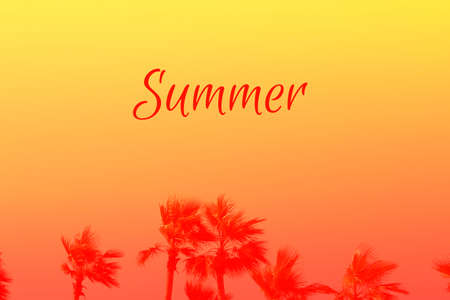 Coconut palm tree on background of beautiful dawn or sunset sky in orange and coral red colors. Horizontal with copy space, word SUMMER on it. Trendy bright duotone. Travelling and holiday conceptの写真素材
