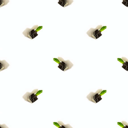 Many small hyacinth plant with leaves without pot, put as diagonal lines on white background. Isolate. Minimal creative spring flowers concept. Seamless pattern. Photographic collage.の写真素材