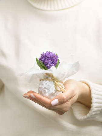 Violet small wild hyacinth wraped with white paper in woman hand with beautiful nails, wearing white sweater. Flower as a gift for lady for 8 of march, birthday. Vertical shot for spring mood boardの写真素材