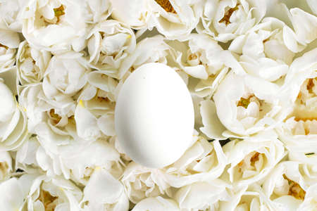 White Easter egg in center of Live wall of many white wild roses with yellow middle. Vertical top view. Full bloom background, decoration and flora design for popular holiday. Trendy monochrome carpet of flowers.の写真素材