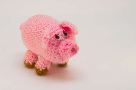Standing in front pink pig on the white backgroundの写真素材
