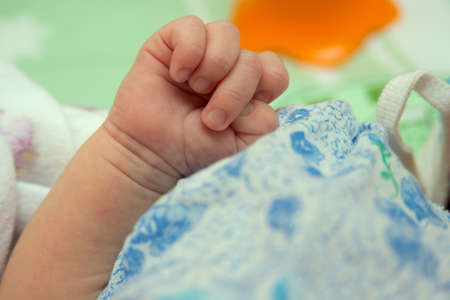 hand newborn close-up in different positions, during sleepの写真素材