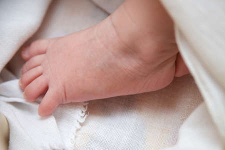 baby feet closeup on white background, newborn babyの写真素材