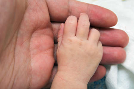 hand newborn close-up in different positions, during sleepの写真素材
