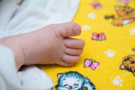 baby feet closeup on white background, newborn babyの写真素材