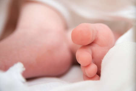 baby feet closeup on white background, newborn babyの写真素材
