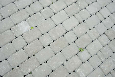 Paving stones. Concept of laying paving slabs and pavers. Paving stones. Concrete pavement blocksの写真素材