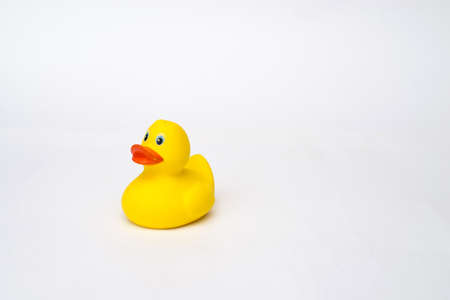 Yellow rubber duck isolated on white backgroundの写真素材
