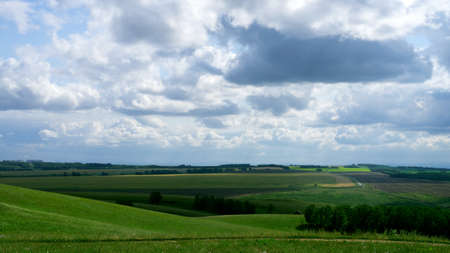 landscape, green agricultural fields on the horizon forest, and the sky with large dark Cumulus cloudsの写真素材