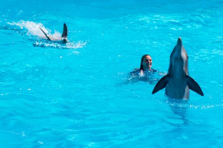 Dolphins in the middle of their show accompanied by their trainer