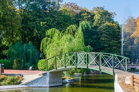 A small bridge over the recreational lake in Roman Park, Romaniaの写真素材