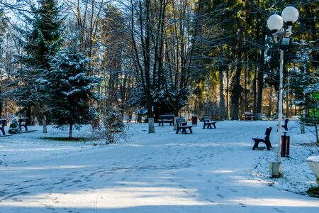 Vatra Dornei municipal park in a winter landscape, Romaniaの写真素材