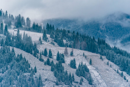 A fantastic winter landscape from Ortoaia, Dorna Arini, Suceava County, Romania