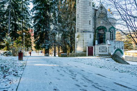 Vatra Dornei municipal park in a winter landscape, Romania