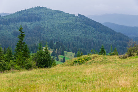 Mountains view as seen from the entrance in fairies garden, Borsec, Romania