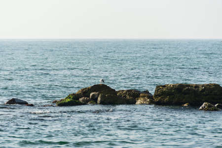 Rocks of the Black Sea in Bulgariaの写真素材