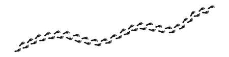The footprints. Traces of a man. Vector illustrationのイラスト素材