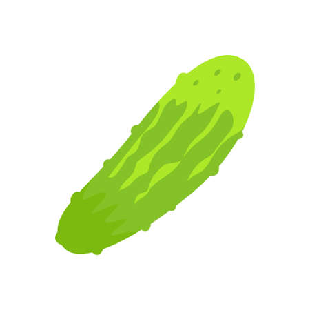 Green cucumber for the farmers' market. Vector illustration in a flat style.のイラスト素材