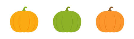 Pumpkin illustrations set. Flat design. Collection of icons.のイラスト素材